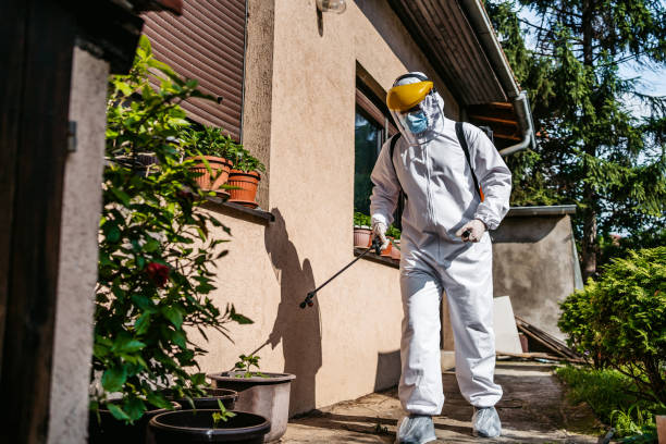 Pest Prevention Services in Nags Head, NC
